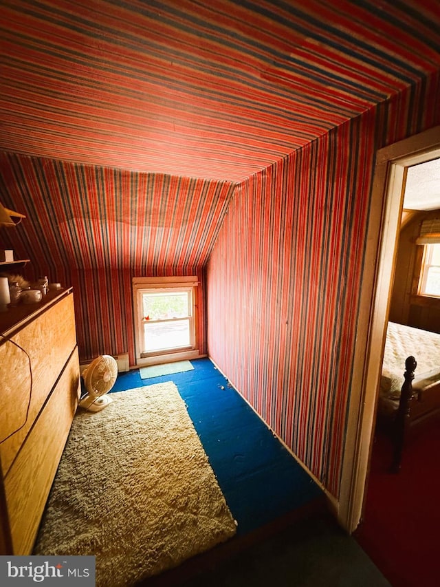 377 Main St, Cedarville, NJ 08311 - bonus room with lofted ceiling and carpet floors