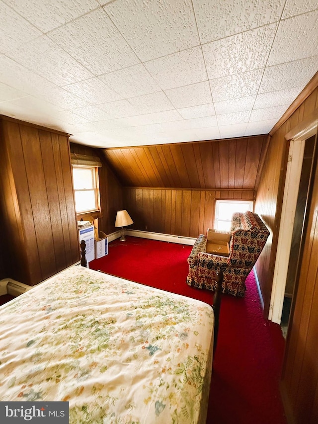 377 Main St, Cedarville, NJ 08311 - bedroom with a baseboard heating unit, vaulted ceiling, carpet flooring, and wood walls