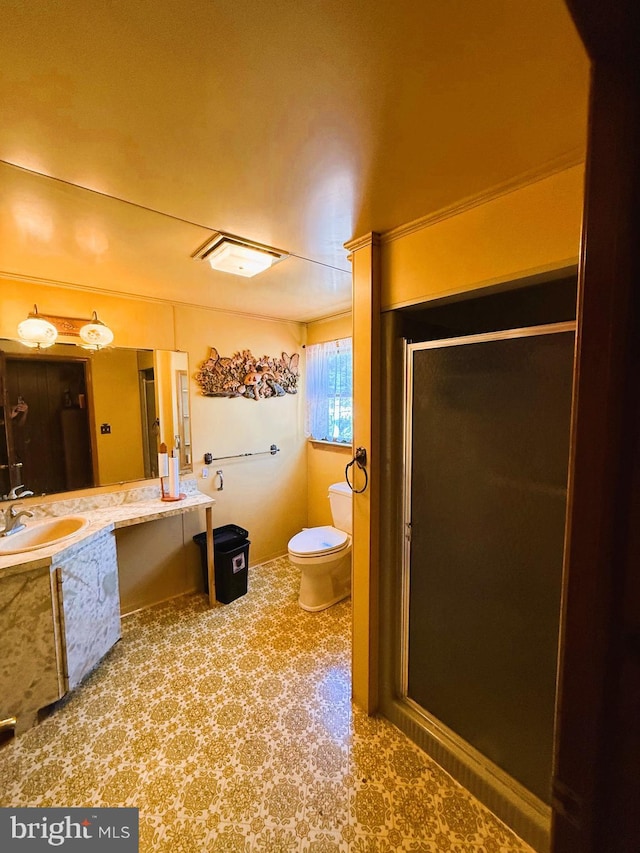 377 Main St, Cedarville, NJ 08311 - bathroom featuring a stall shower, toilet, and vanity