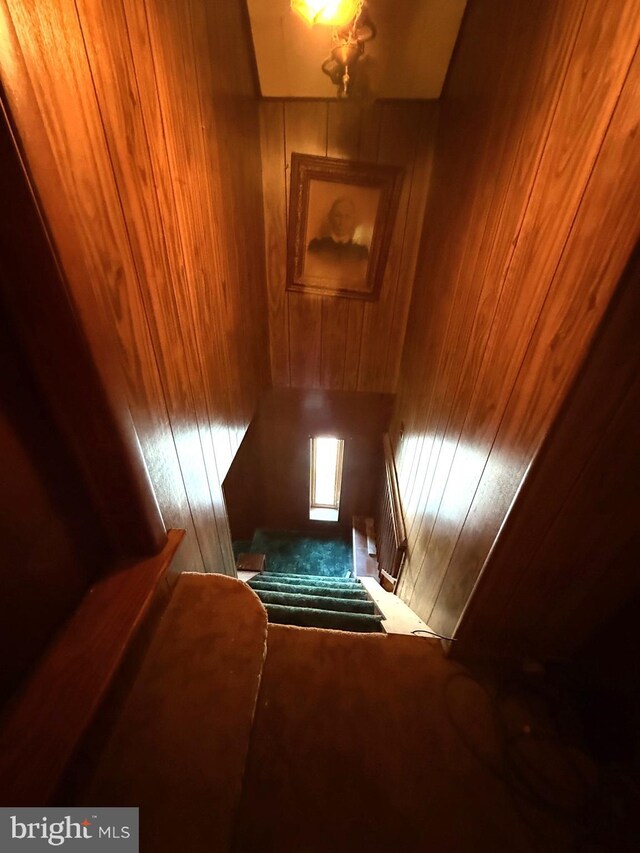 377 Main St, Cedarville, NJ 08311 - bonus room with wooden walls and carpet floors