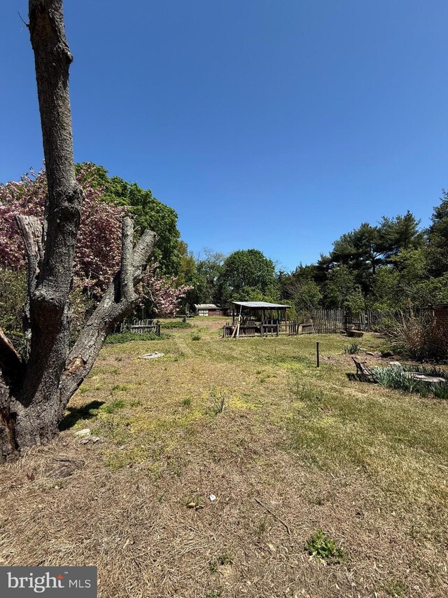377 Main St, Cedarville, NJ 08311 - view of yard