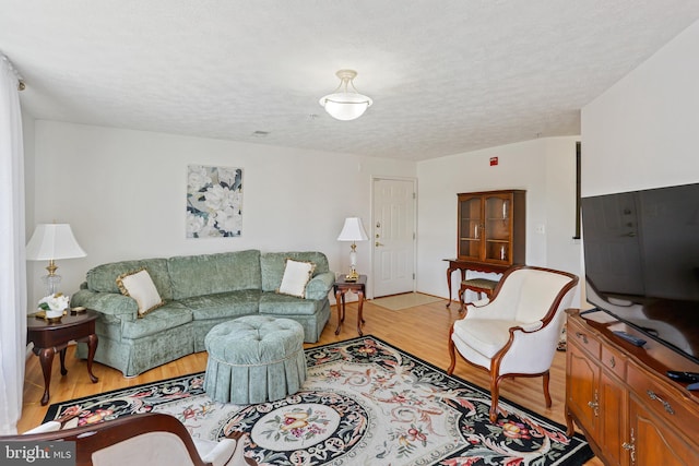 living area with a textured ceiling and light wood-style floors