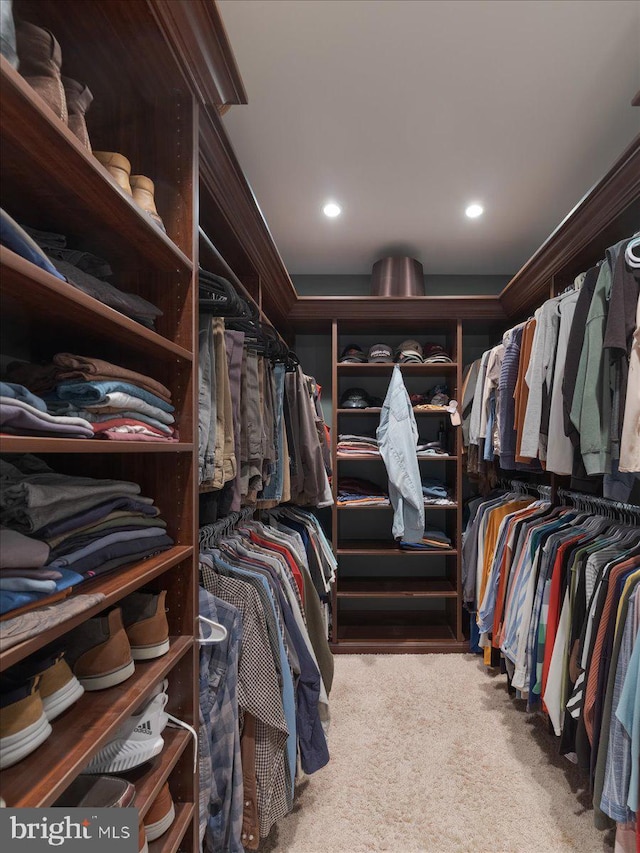 walk in closet with carpet flooring