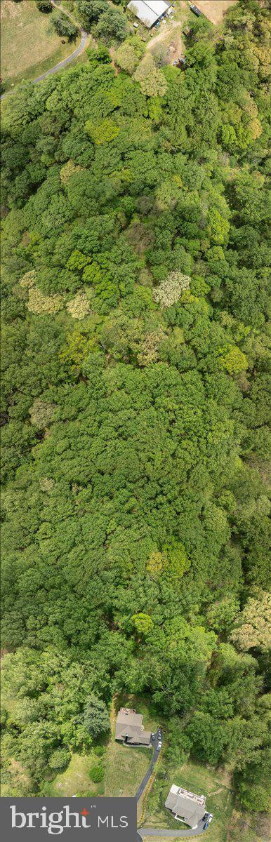drone / aerial view with a wooded view