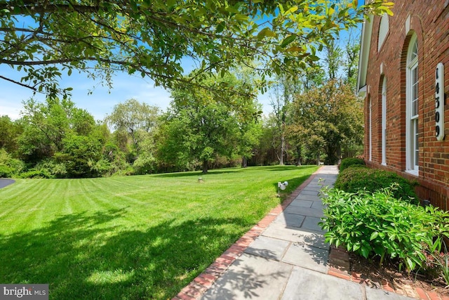 14309 Cervantes Ave, Darnestown, MD 20874 - view of yard