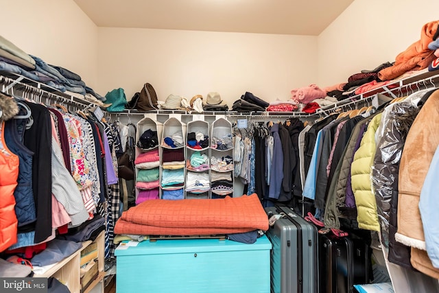 view of walk in closet