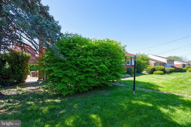 view of yard
