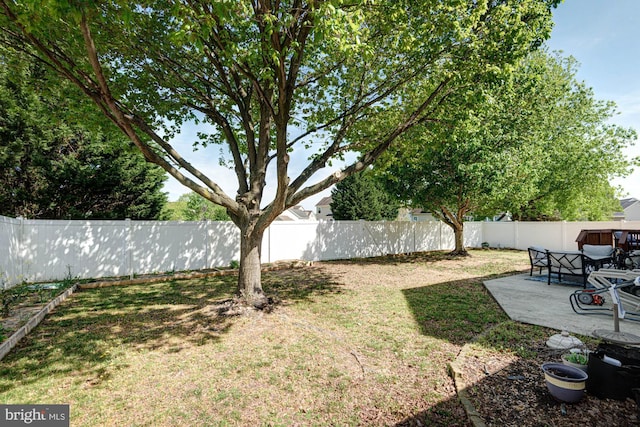 view of yard featuring a patio and a fenced backyard