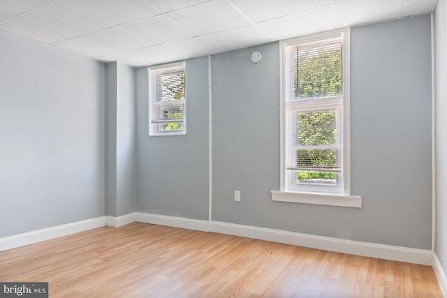 4018 Pennington Ave, Baltimore City, MD 21226 - empty room featuring baseboards, light wood-style flooring, and a paneled ceiling