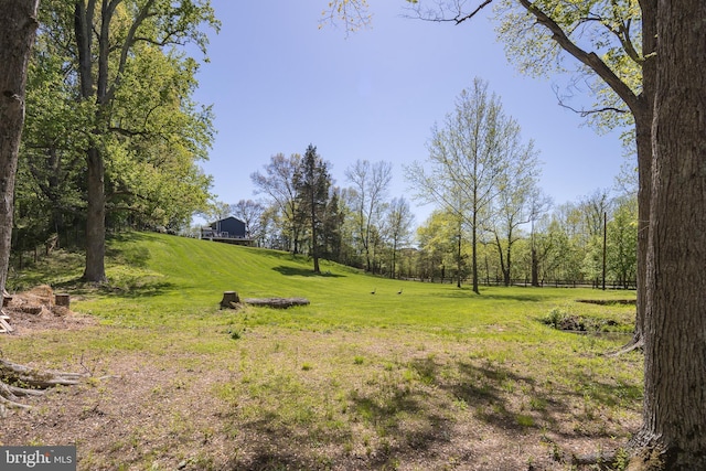 22714 Watson Rd, Leesburg, VA 20175 - view of yard