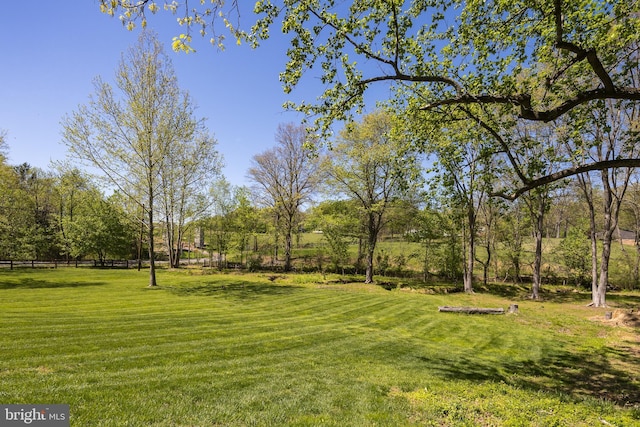 22714 Watson Rd, Leesburg, VA 20175 - view of yard