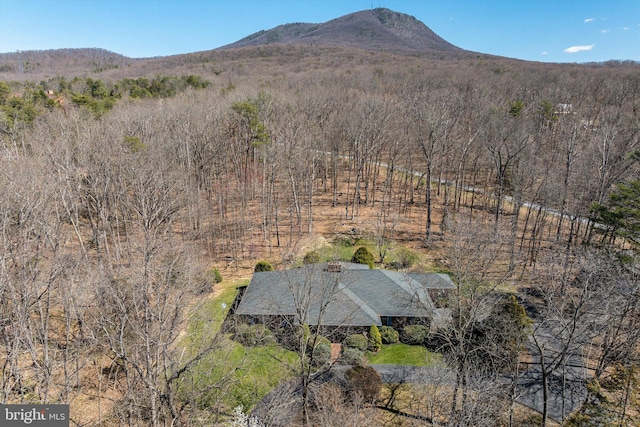 5983 Labs Run Ln, Penn Laird, VA 22846 - property view of mountains