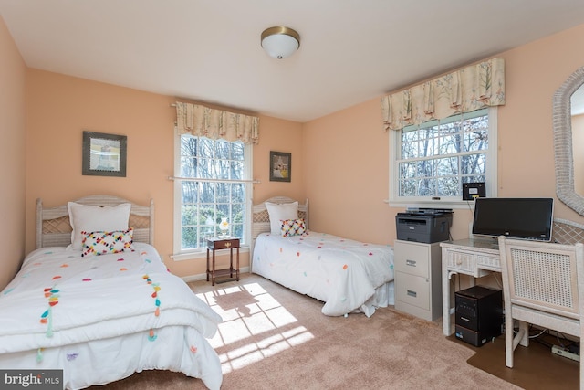 5983 Labs Run Ln, Penn Laird, VA 22846 - bedroom featuring multiple windows and light colored carpet