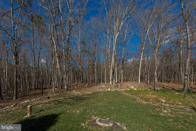 5983 Labs Run Ln, Penn Laird, VA 22846 - view of yard