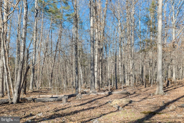 5983 Labs Run Ln, Penn Laird, VA 22846 - view of nature