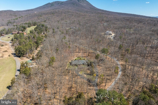 5983 Labs Run Ln, Penn Laird, VA 22846 - mountain view