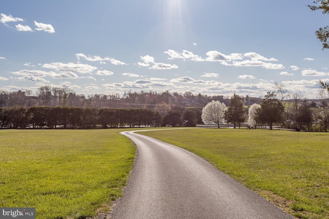 5983 Labs Run Ln, Penn Laird, VA 22846 - view of road