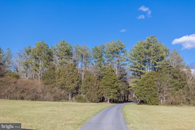 5983 Labs Run Ln, Penn Laird, VA 22846 - view of street with a wooded view