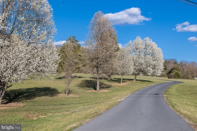 5983 Labs Run Ln, Penn Laird, VA 22846 - view of street