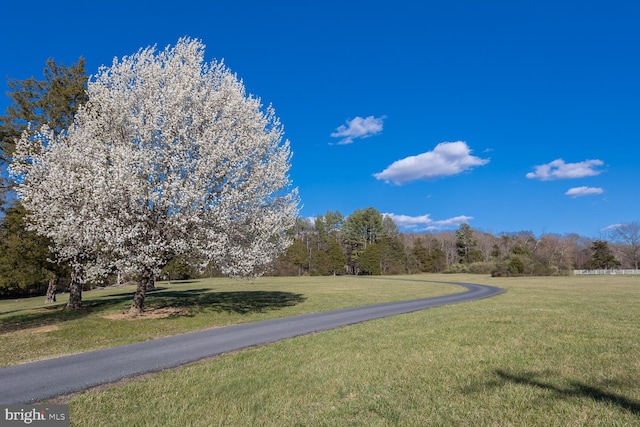 5983 Labs Run Ln, Penn Laird, VA 22846 - view of property's community with a lawn
