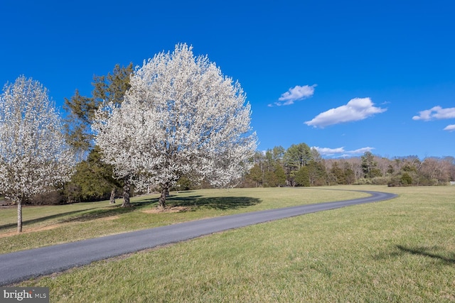5983 Labs Run Ln, Penn Laird, VA 22846 - view of community featuring a lawn