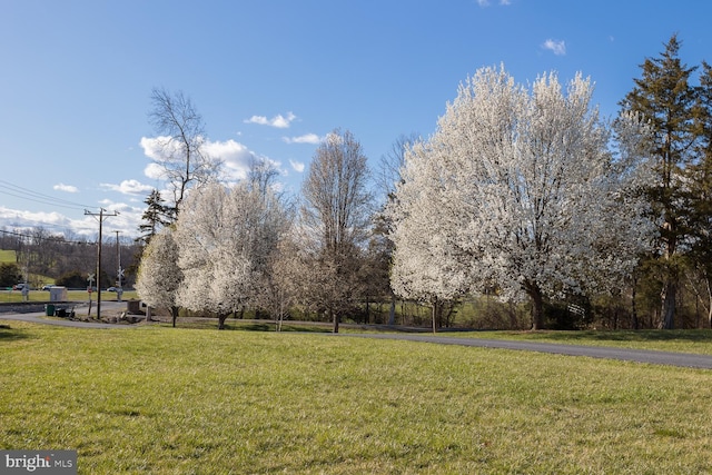 5983 Labs Run Ln, Penn Laird, VA 22846 - view of community featuring a yard