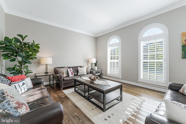 living room featuring crown molding, baseboards, and wood finished floors