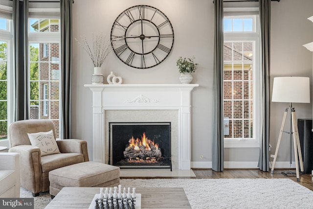 living area featuring baseboards, a fireplace with flush hearth, and wood finished floors