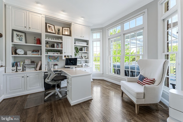 office area with crown molding, dark wood-style flooring, and baseboards