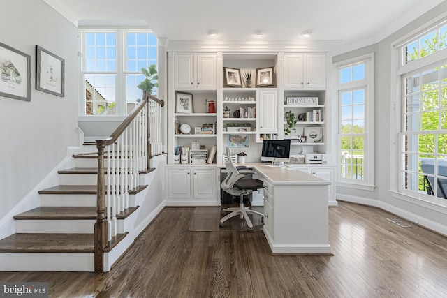 home office featuring crown molding, baseboards, and dark wood finished floors