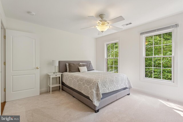 8810 Primula Dr, Laytonsville, MD 20882 - bedroom with light carpet, baseboards, and ceiling fan