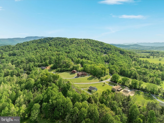 1996 Buck Mountain Rd, Bentonville, VA 22610 - bird's eye view of a heavily wooded area and a mountainous background