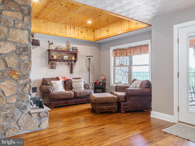 1996 Buck Mountain Rd, Bentonville, VA 22610 - living room featuring hardwood / wood-style flooring and baseboards