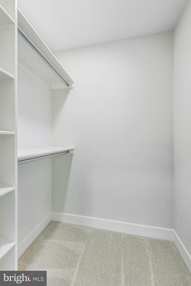 spacious closet featuring carpet