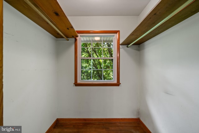 walk in closet featuring wood finished floors