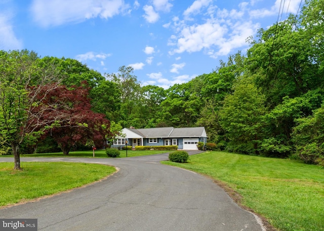 view of front facade with curved driveway, a front lawn, and a garage
