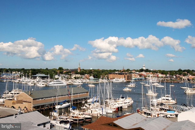 water view with a marina and a boat dock