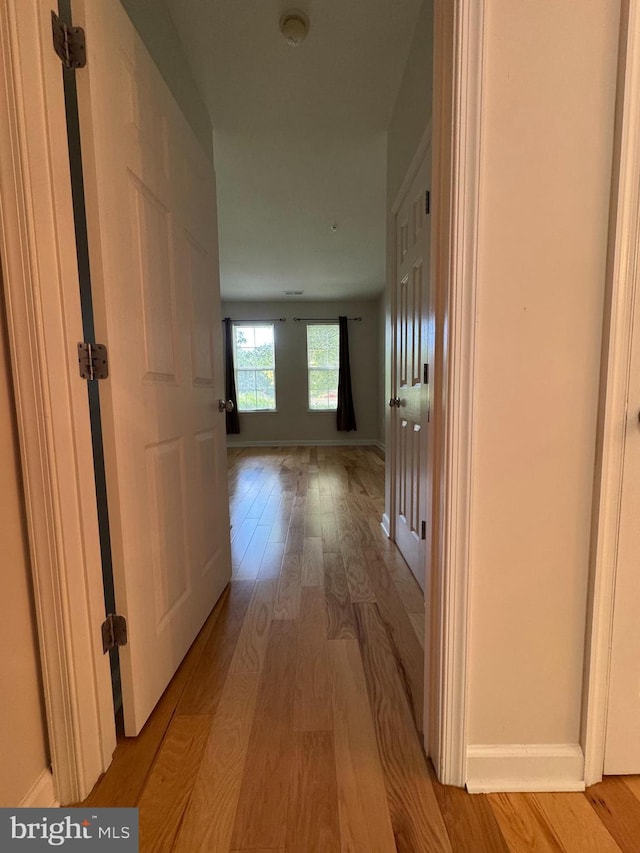42429 Rockrose Sq, Brambleton, VA 20148 - corridor with wood finished floors and baseboards