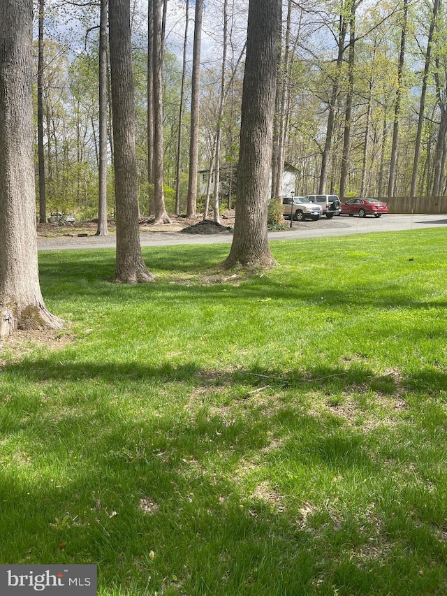 8807 Doug Dr, Nokesville, VA 20181 - view of yard