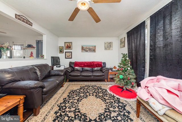 living area with a ceiling fan