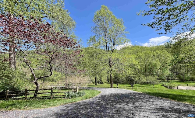 4547 Taylor Creek Rd, Afton, VA 22920 - view of property's community featuring fence, a forest view, and a lawn