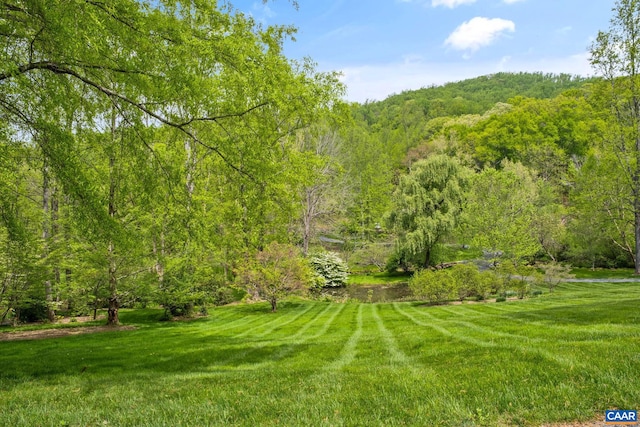 4547 Taylor Creek Rd, Afton, VA 22920 - view of yard featuring a view of trees