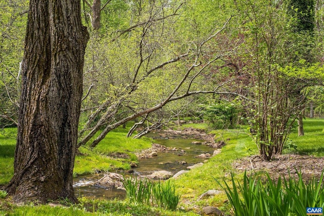 4547 Taylor Creek Rd, Afton, VA 22920 - view of community featuring a view of trees