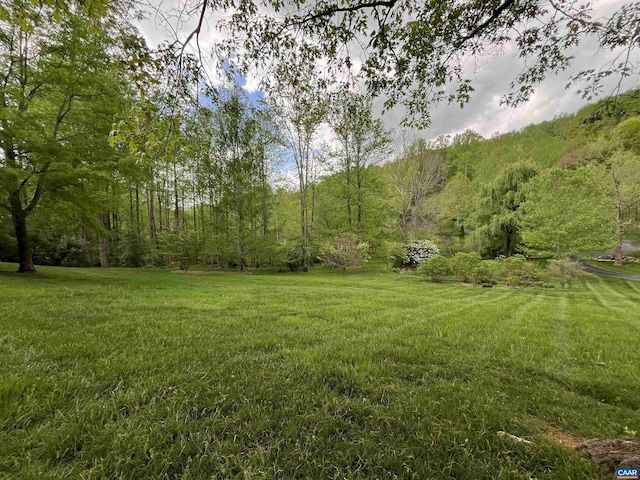 4547 Taylor Creek Rd, Afton, VA 22920 - view of yard featuring a view of trees