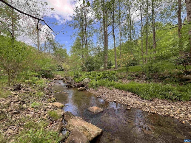 4547 Taylor Creek Rd, Afton, VA 22920 - view of local wilderness