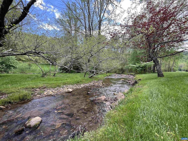 4547 Taylor Creek Rd, Afton, VA 22920 - view of yard