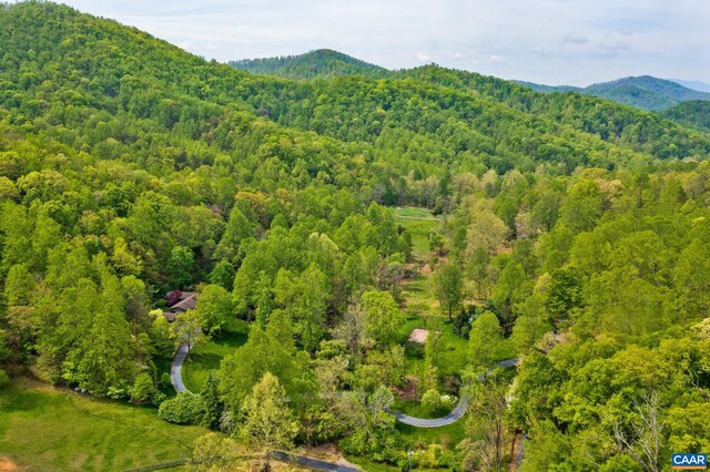 4547 Taylor Creek Rd, Afton, VA 22920 - property view of mountains with a view of trees