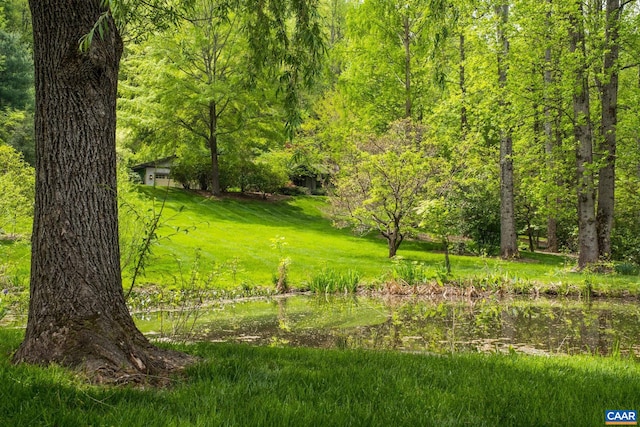 4547 Taylor Creek Rd, Afton, VA 22920 - view of yard featuring a forest view