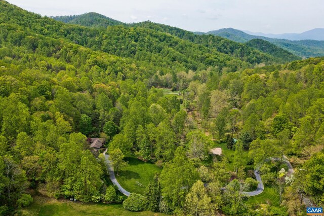 4547 Taylor Creek Rd, Afton, VA 22920 - drone / aerial view with a mountain view and a forest view
