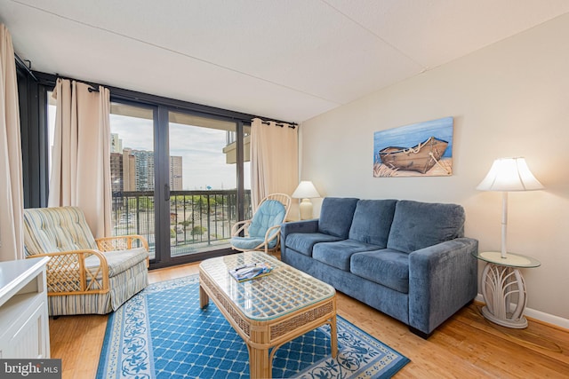 11500 Coastal Hwy Unit 418, Ocean City, MD 21842 - living area featuring light wood-style floors and baseboards